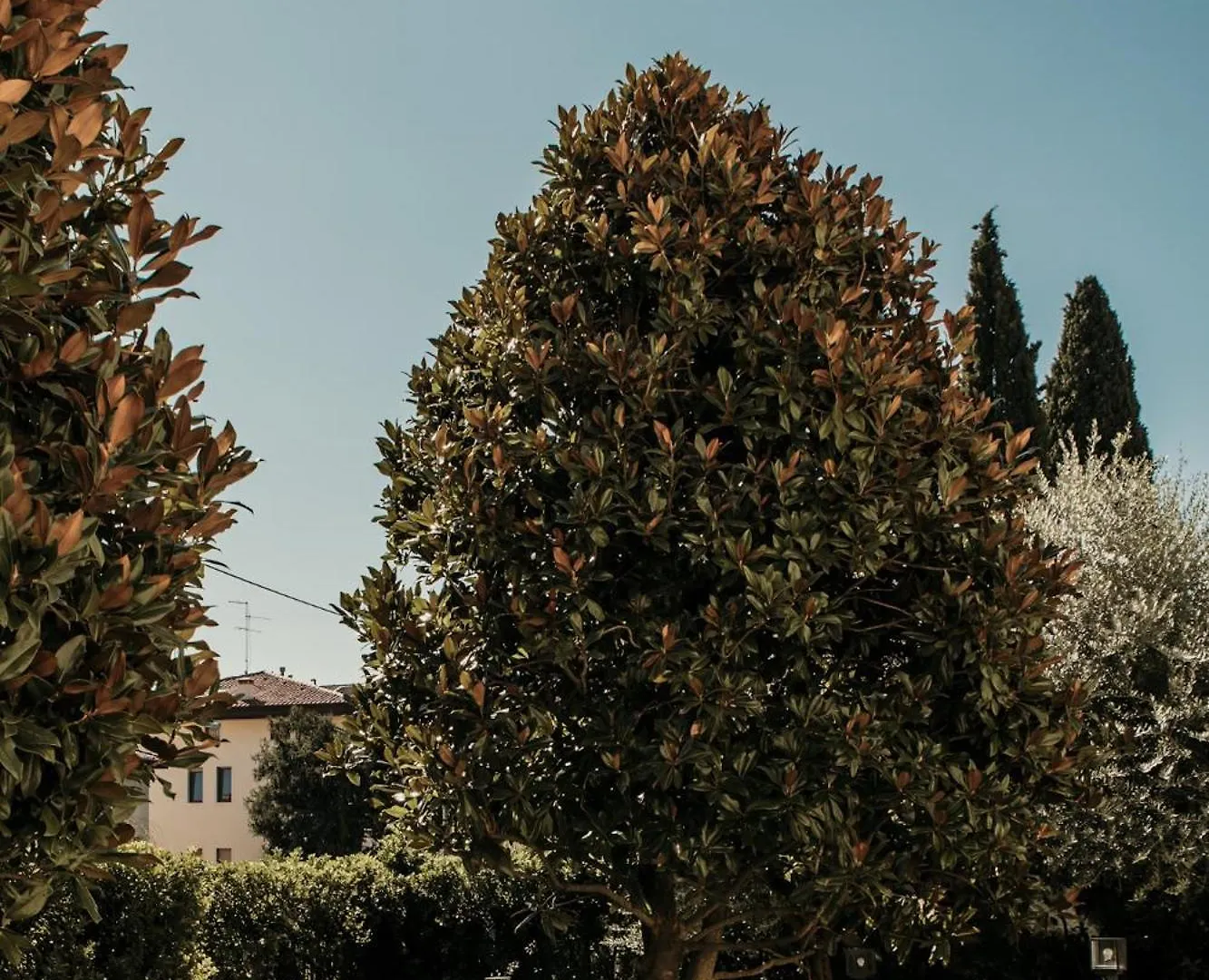 Naboo Verona Luxury Suites Guest house